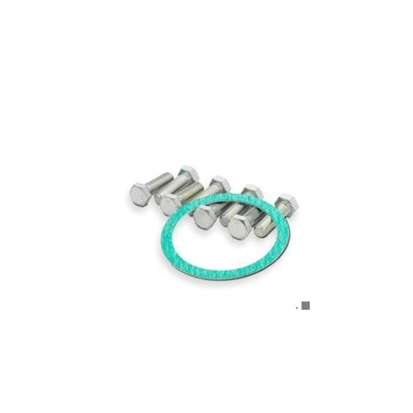 4 in. service kit 125# flg